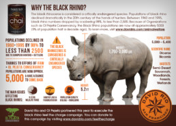 David Rio Black Rhino Infographic